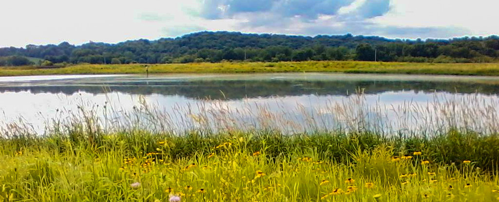 Dubuque County Conservation Society